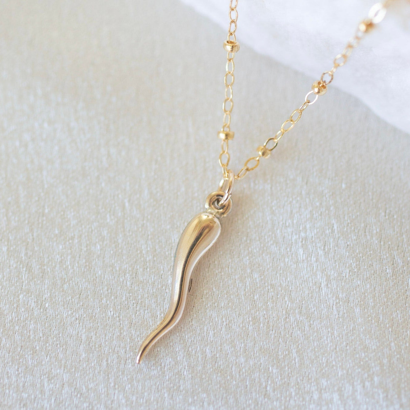 Italian Horn Necklace