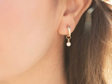Load image into Gallery viewer, Gold Classic Sparkle Earring
